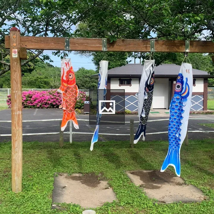 Koinakaike Pond Carp Streamers