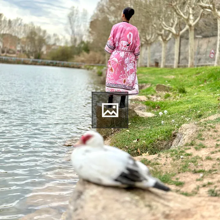 Pink Kimono with Flamingo by Water