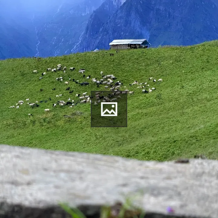 Himalayan Landscape with Sheep in Nepal
