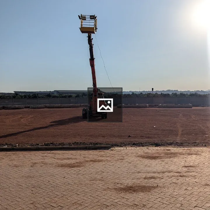 Crane in Open Field