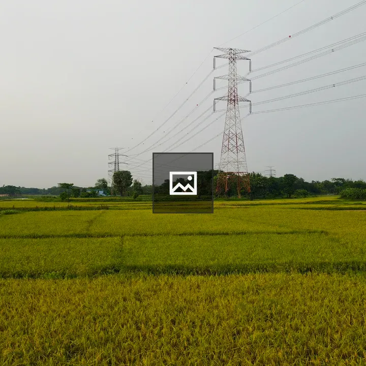 Rice field with transmission tower