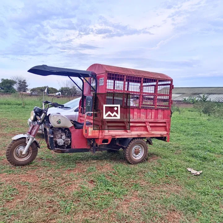 Red three-wheeled tuk-tuk on grass