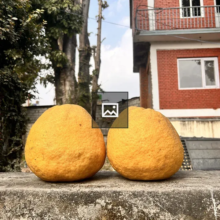 Grapefruits on Stone Surface