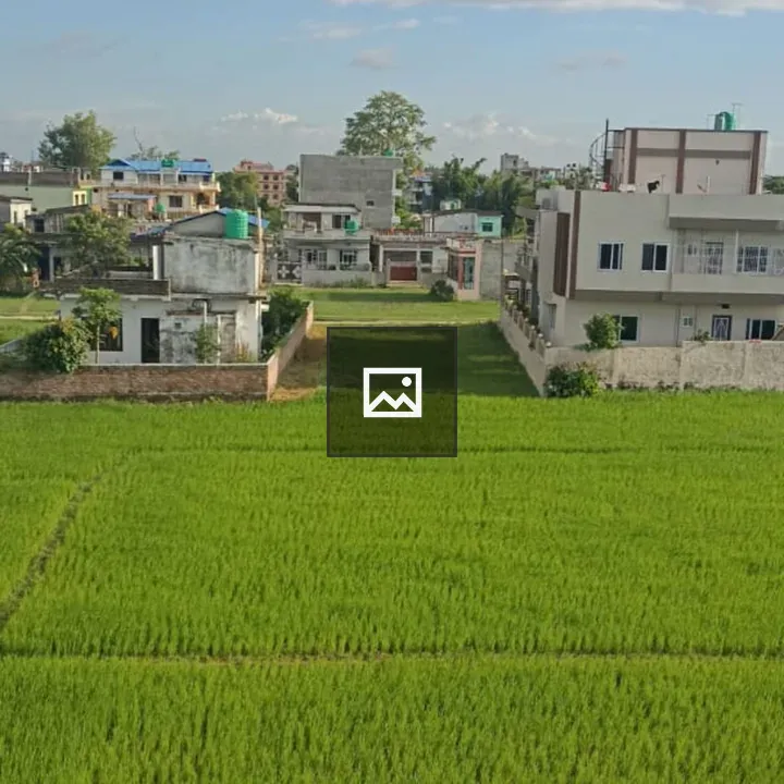 Panoramic rural landscape with rice fields