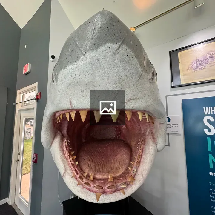 Great White Shark Head Model