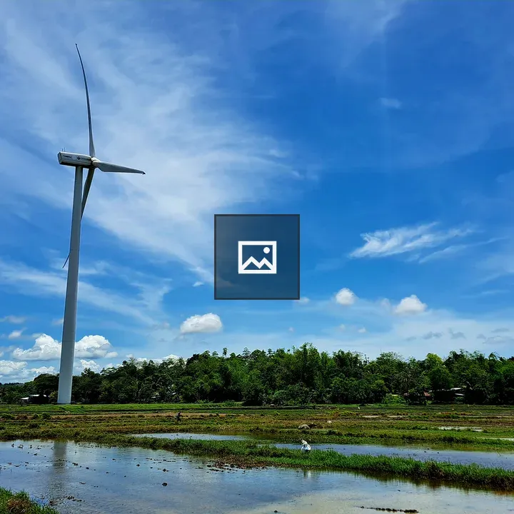Wind Turbines Over Rice Field