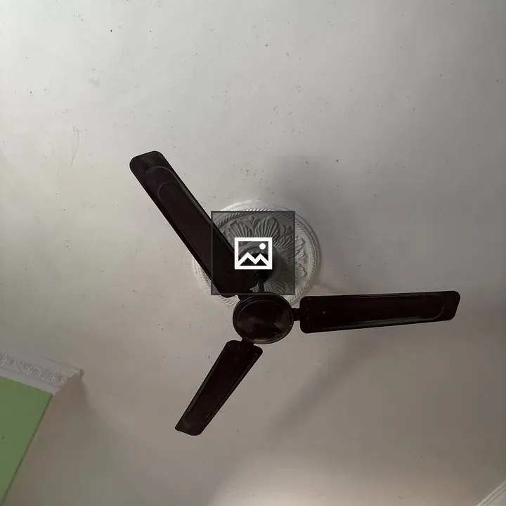 Ceiling fan with decorative ceiling rose