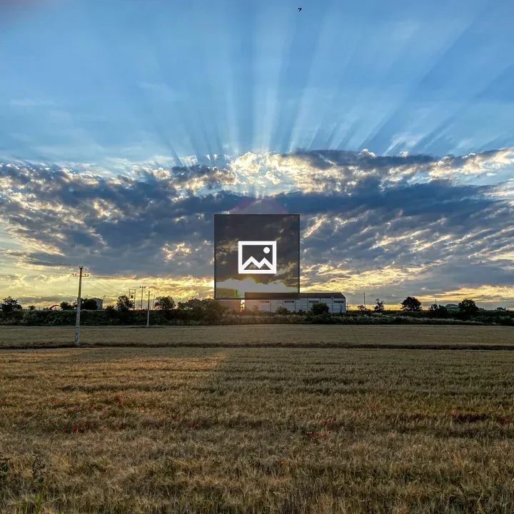 Field at Sunset