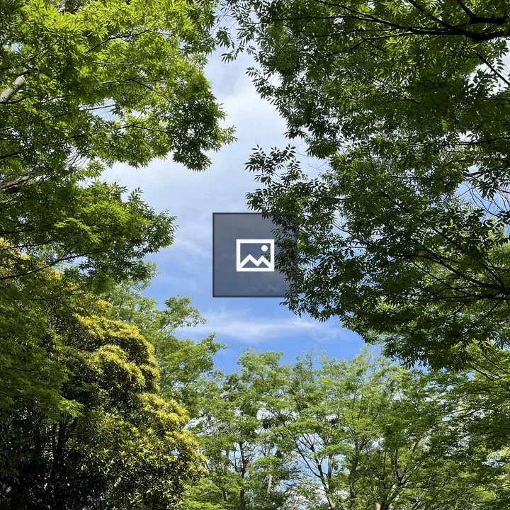 Canopy sky view