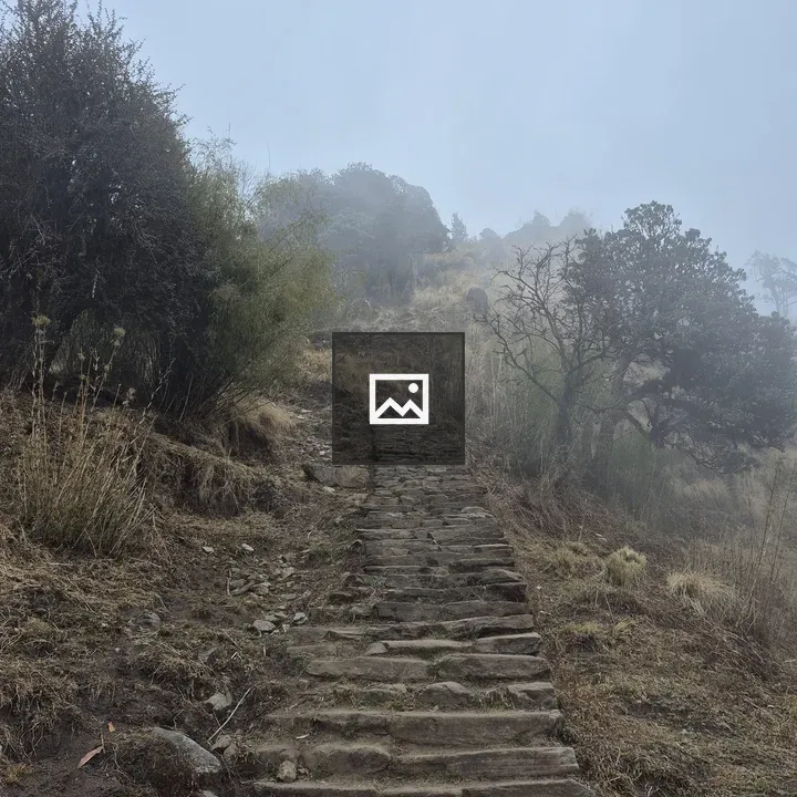 Stone steps on foggy hillside