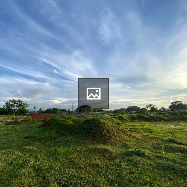 Grassy field landscape with mounds