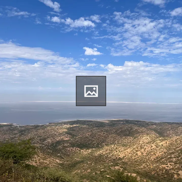 Coastal hillside panorama