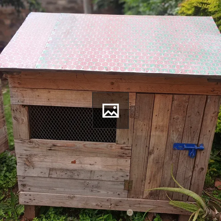 Wooden dog house with mesh window
