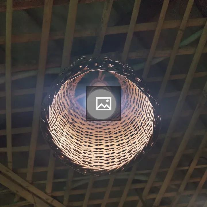 Woven Pendant Lamp
