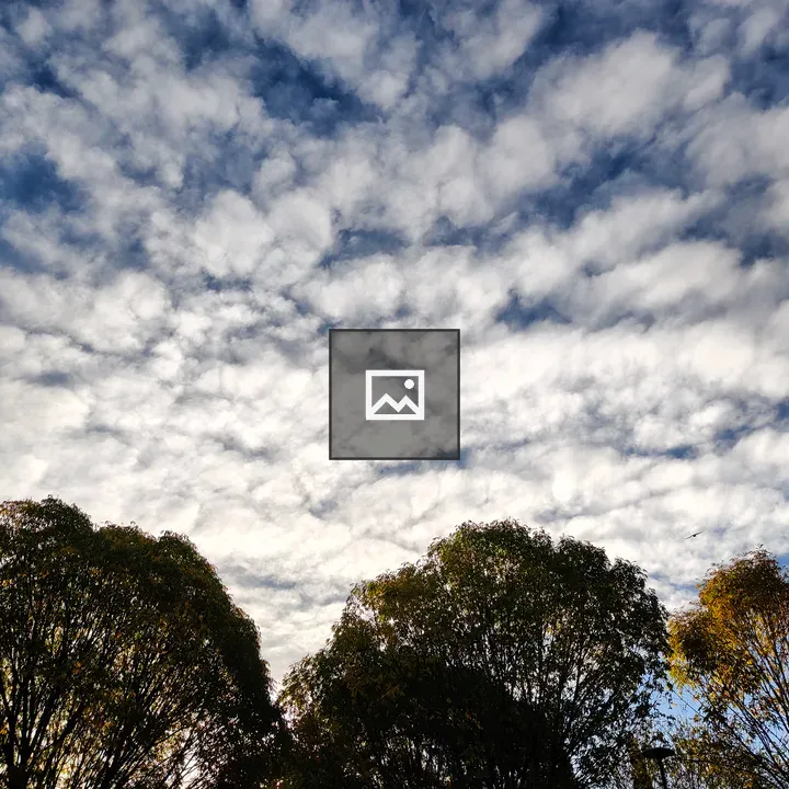Sky over treetops with clouds