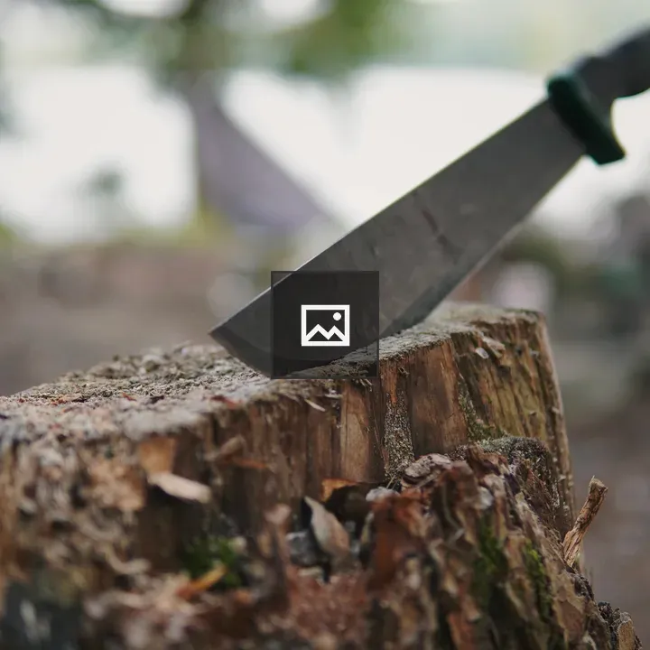 Knife in a tree stump