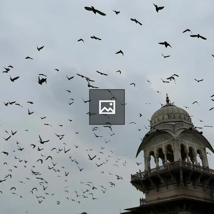 Birds Over Jaipur's Albert Hall Museum