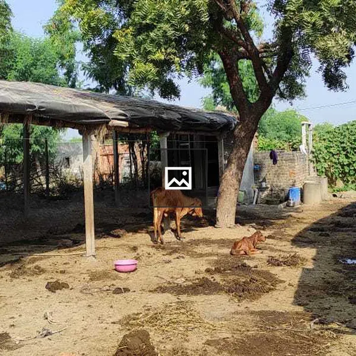 Village Real Nature