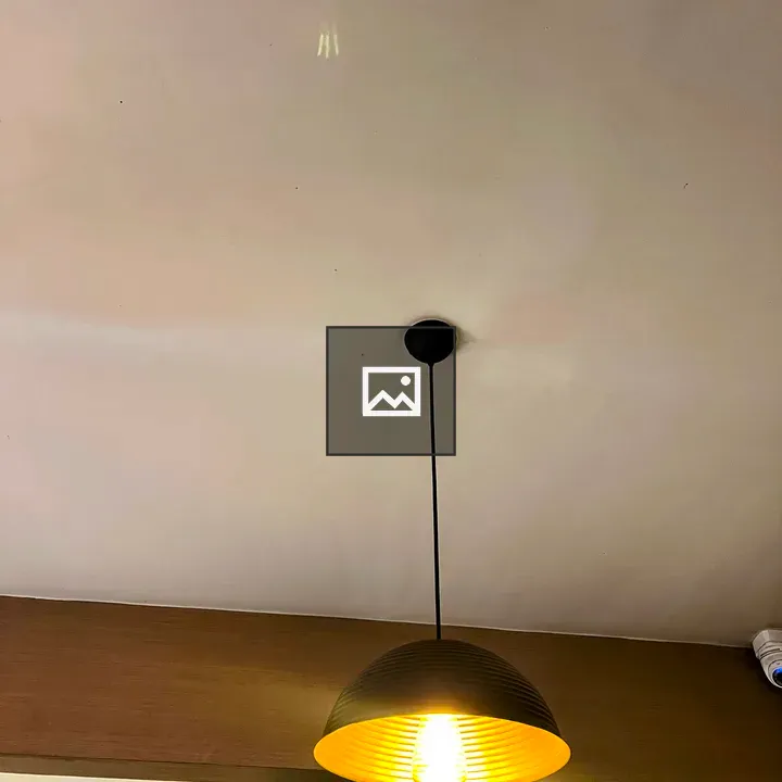 Modern black dome pendant light