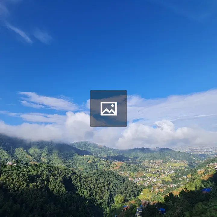 Blue Sky Over Verdant Forest