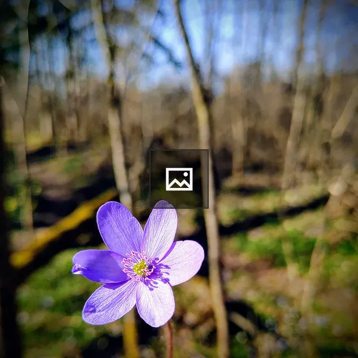 Purple Flower in Portrait