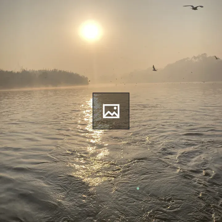 River and Sunrise Bird