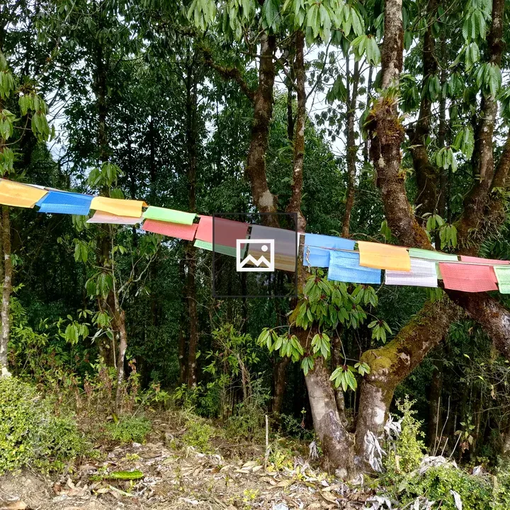 Colorful Tibetan prayer flags