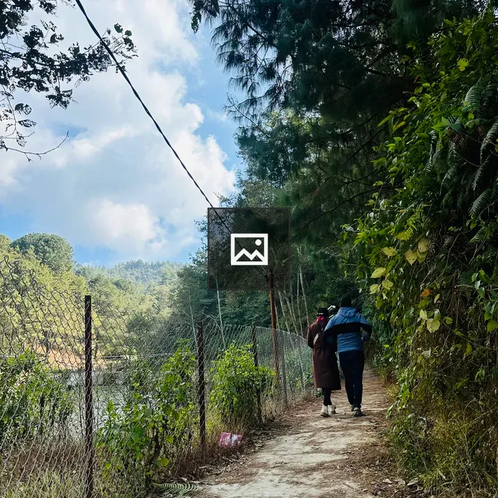Couple Walking on Jungle Road