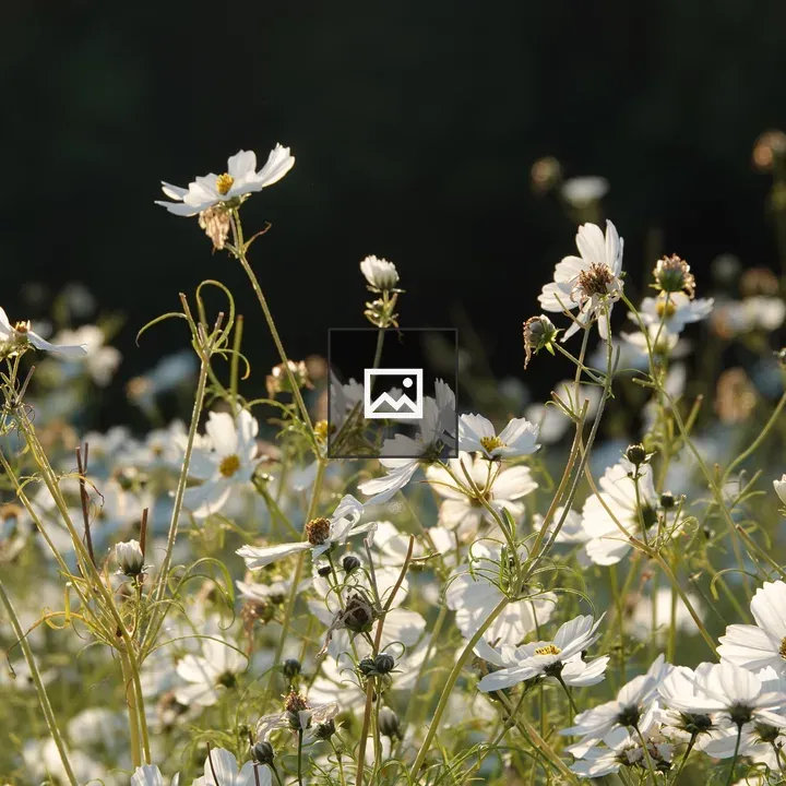 Flower in Green and White