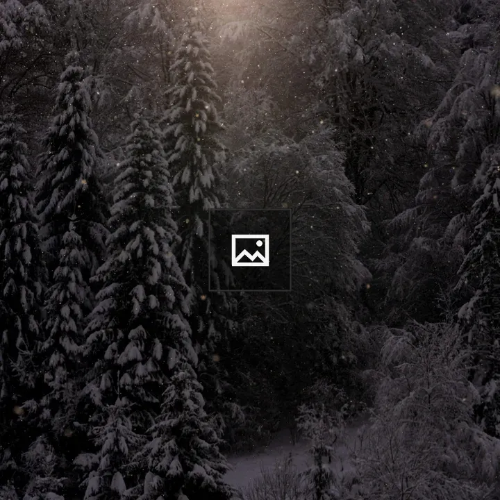 Winter Forest with Snowy Evergreens
