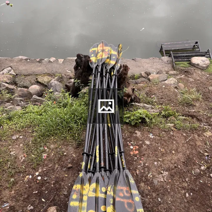 Paddles with Yellow Graffiti
