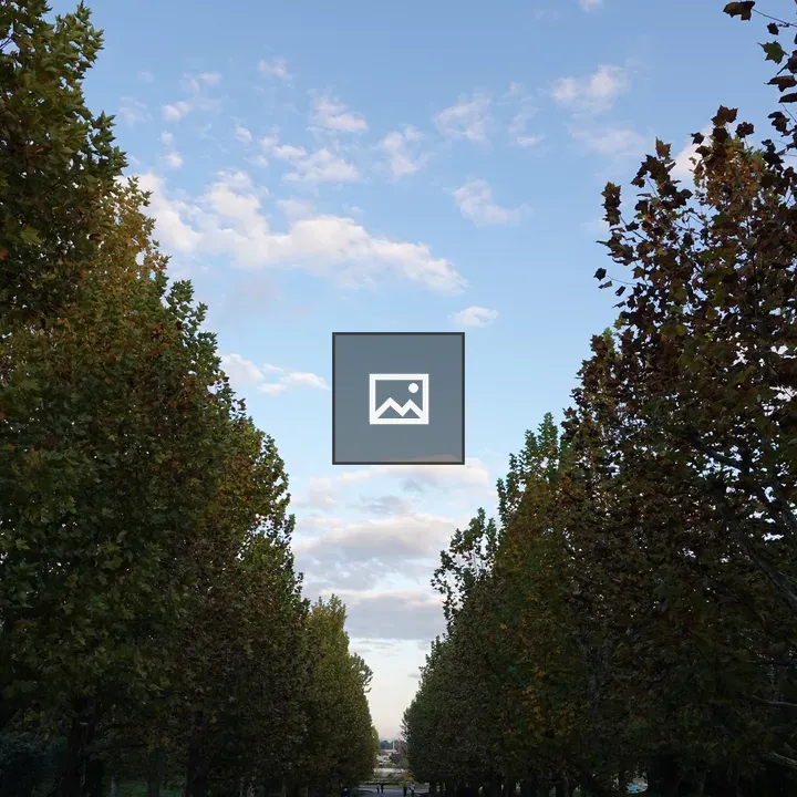 Straight tree-lined avenue