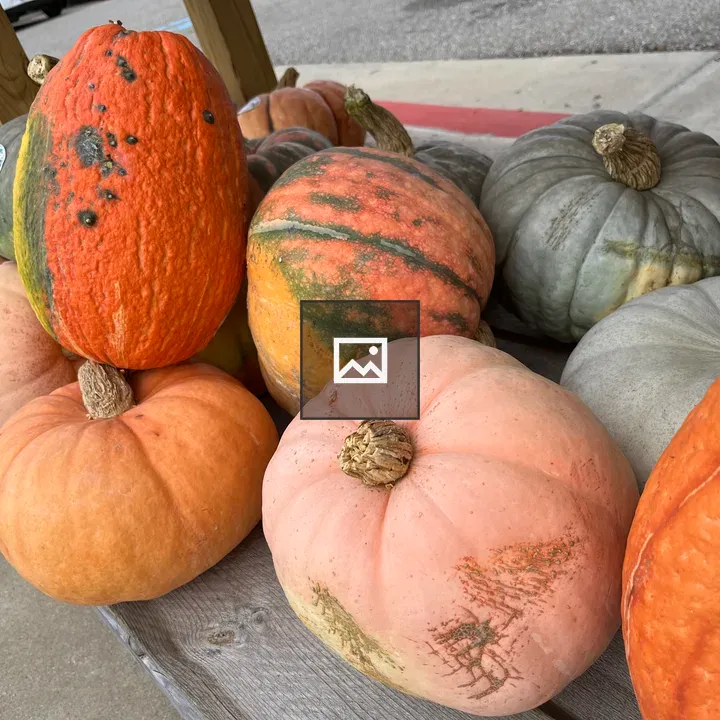 Gourds on an old bench