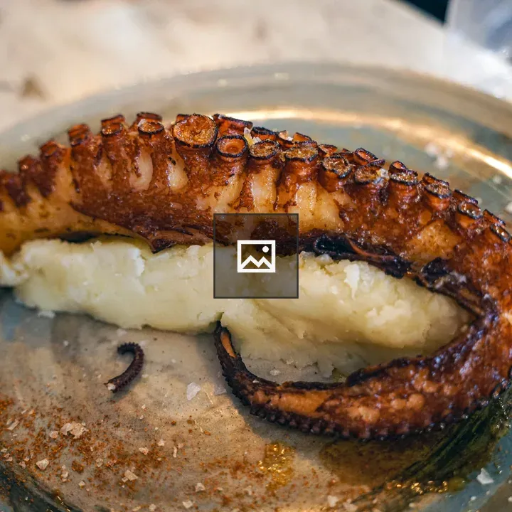 Grilled octopus tentacle on plate