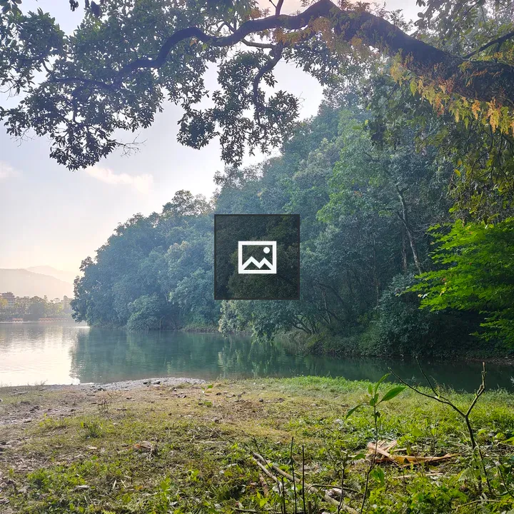 Lakeside scene with greenery