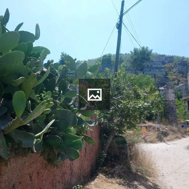 Dusty Path with Cactus and Ruin