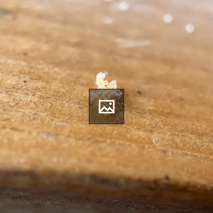 Cinnamon sugar on wood