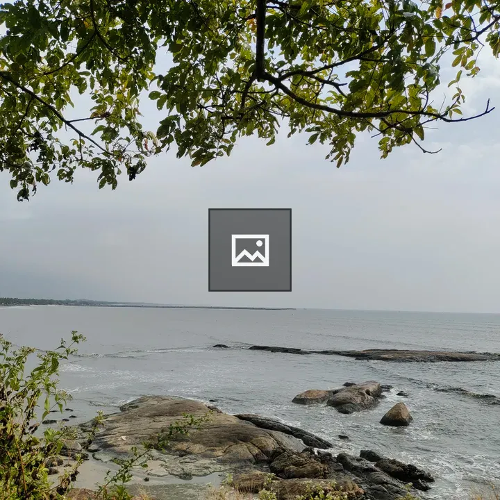 View of the Beach