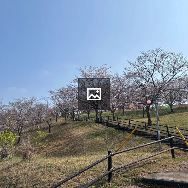 Cherry blossoms near Ichizu Lake