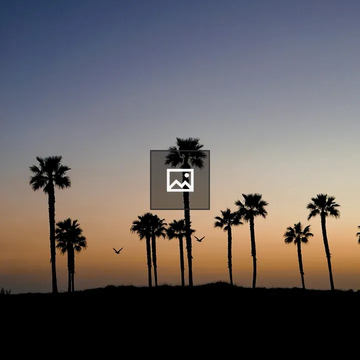 Sunset by the beach with palm silhouettes