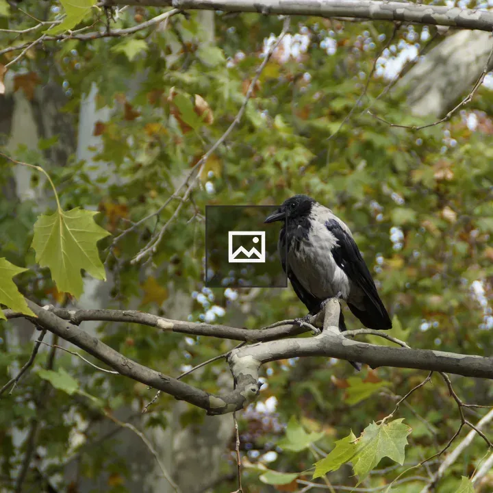 Bird on a Green Branch