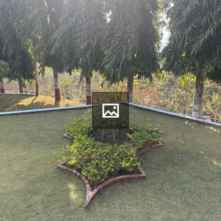 Raised Lawn and Trees Scene