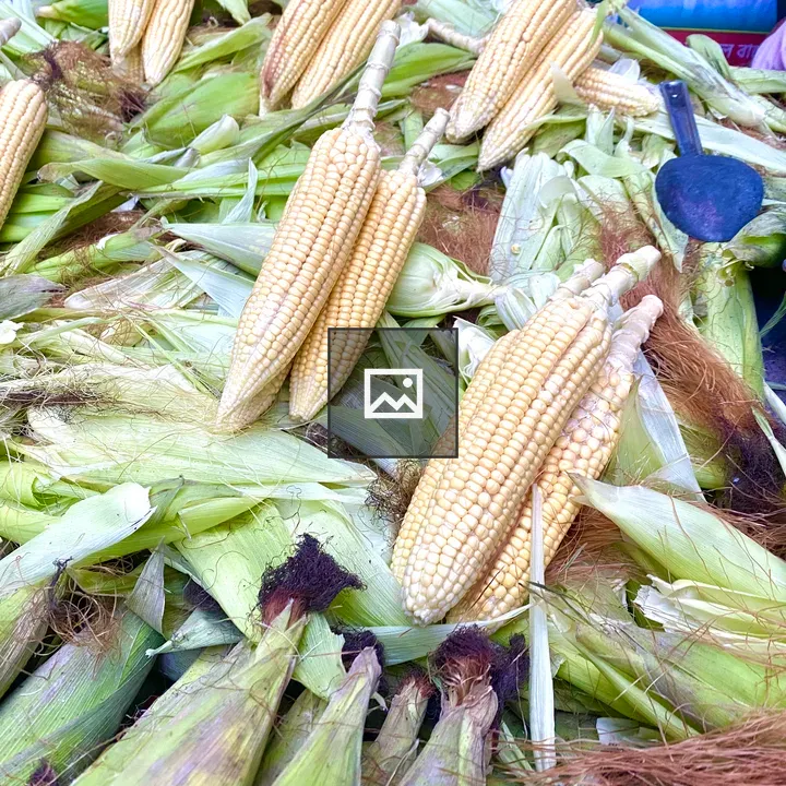 Fresh yellow corn on market stall
