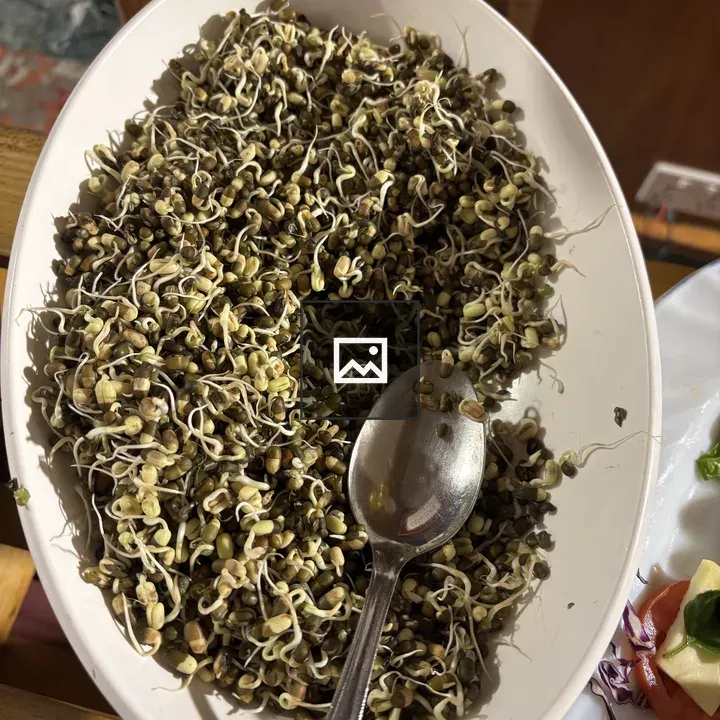 Mung Bean Sprouts in White Serving Dish