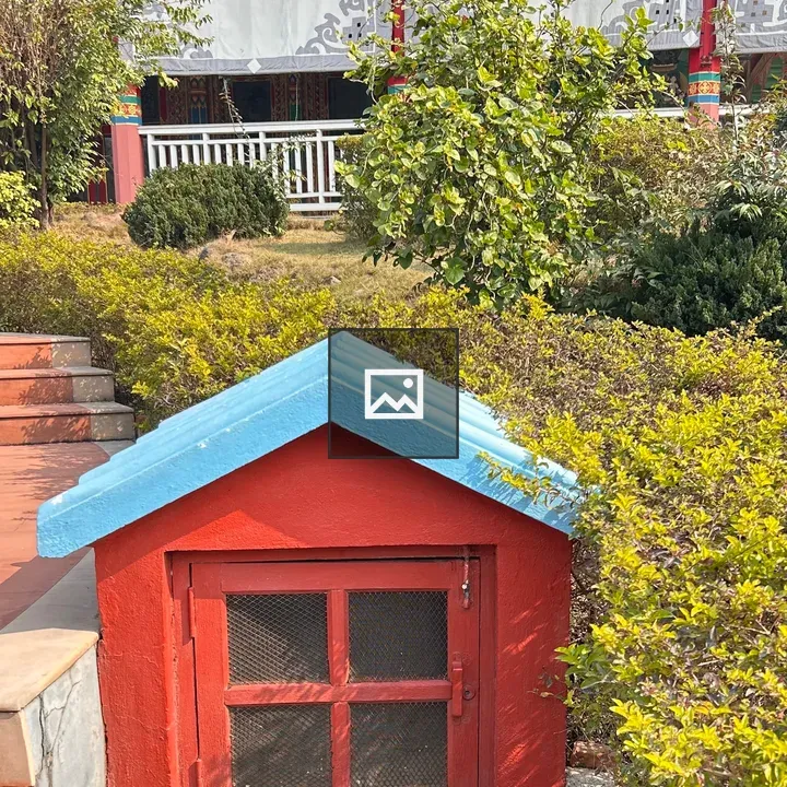 Colorful tiny house structure