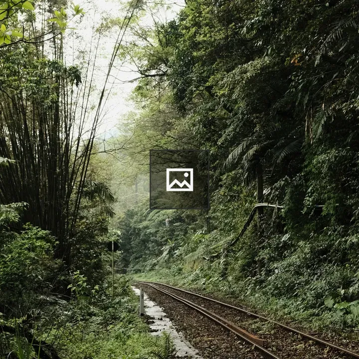 Train tracks by forest path
