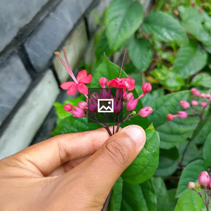 Hand with pink and red flowers