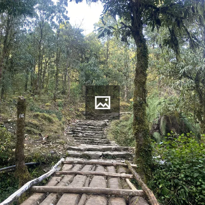 Small wooden bridge