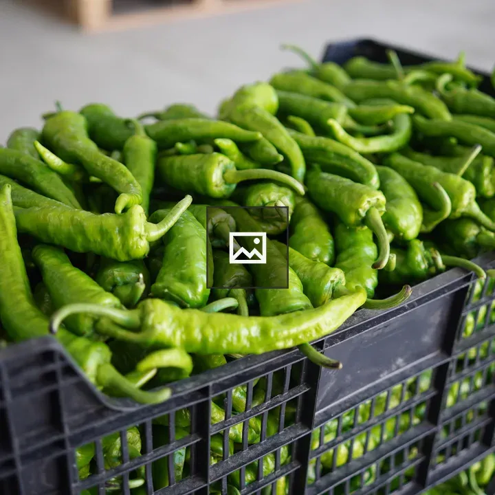 Green cuernocabra peppers crate
