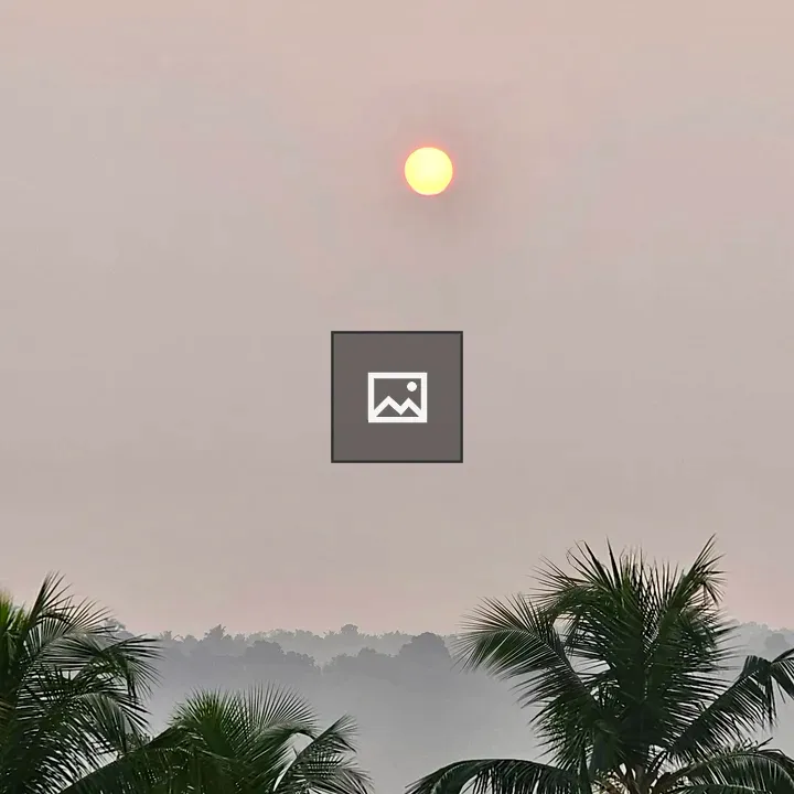 Sunrise through coconut trees